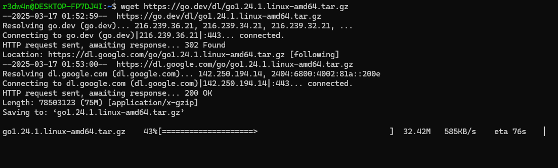 Downloading Go Using Wget